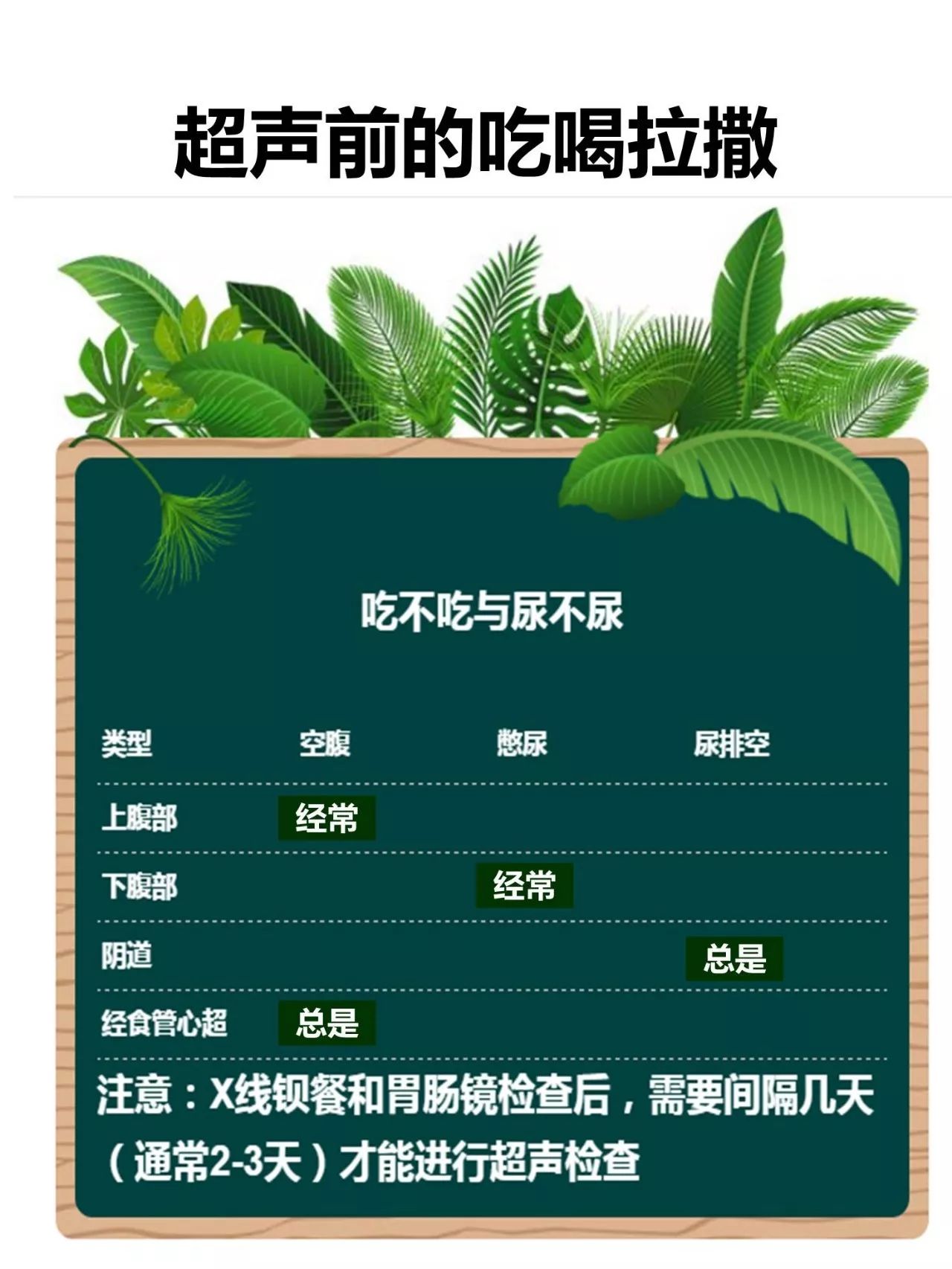 超聲前的吃喝拉撒.jpg