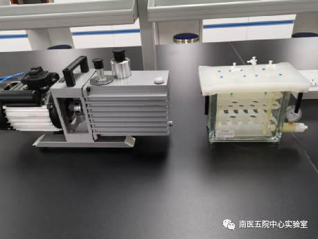 說明: https://mmbiz.qpic.cn/mmbiz_png/2ibpeudvEvicGMZPrWnYe38Vw4ooxcMiaOWsiald6xd01cnzPbqRKLOSHTVDIncScqvibAox8jeQjozYh8smXShHXEw/640?wx_fmt=png