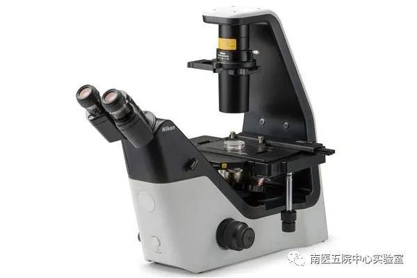 說明: https://mmbiz.qpic.cn/mmbiz_jpg/2ibpeudvEvicGnRW6NLsNpQ5V4RO7ia108jAjljqjOyyzcsvR54OhodKPNM7dWDemCxgbuxC5E6dfq5552KxCBicHg/640?wx_fmt=jpeg